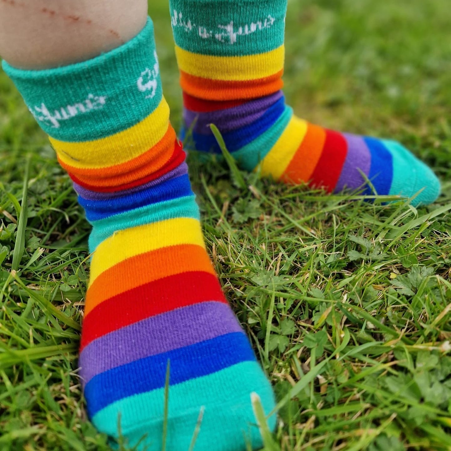 Rainbow Socks by Sully and Juno
