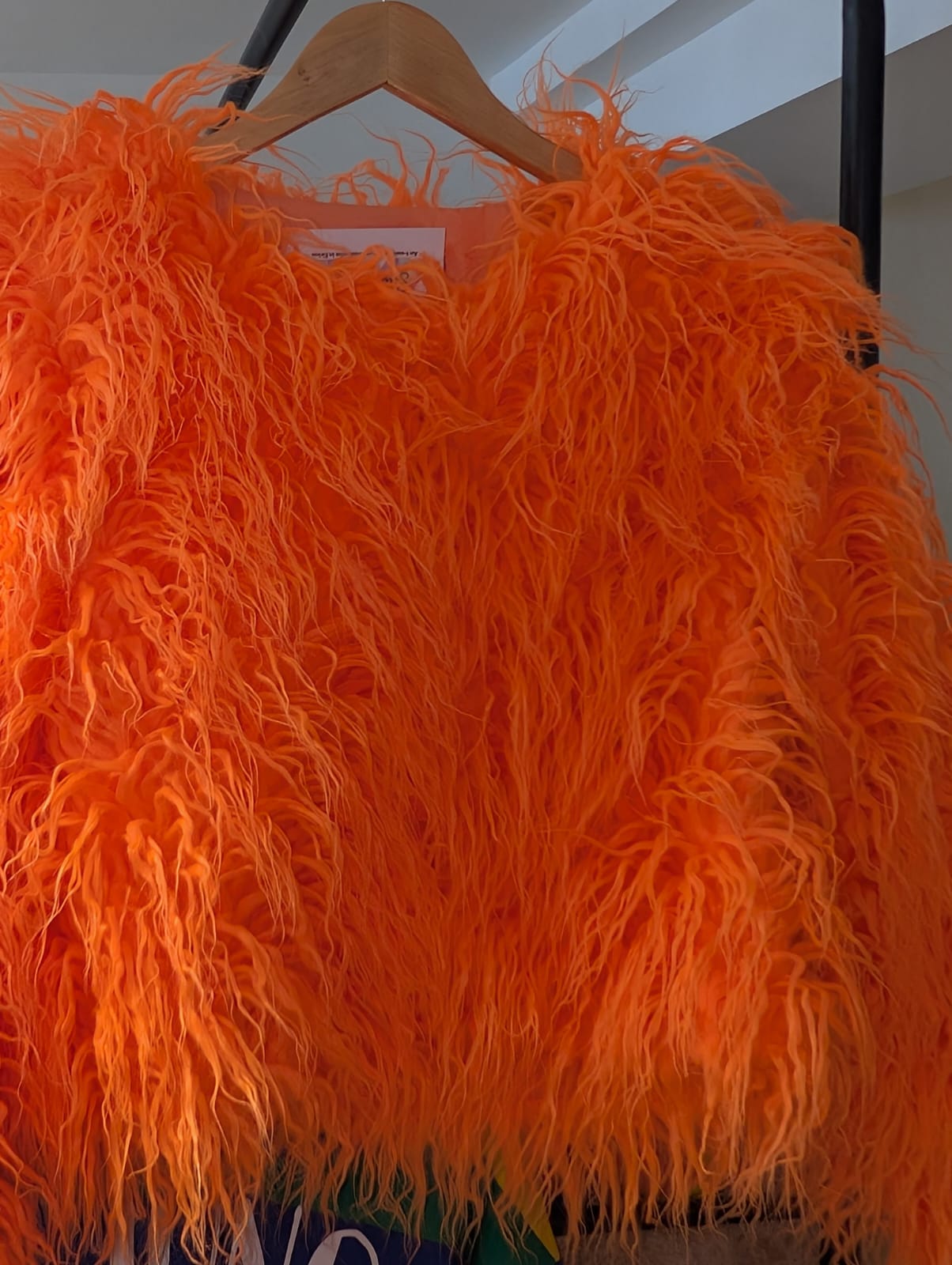 Fluffy Coat