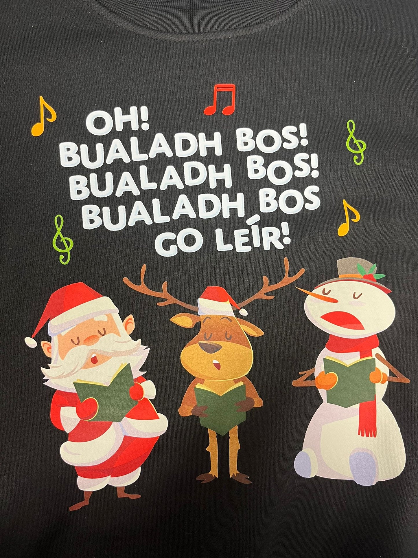 Bualadh Bos! - Adults sweater