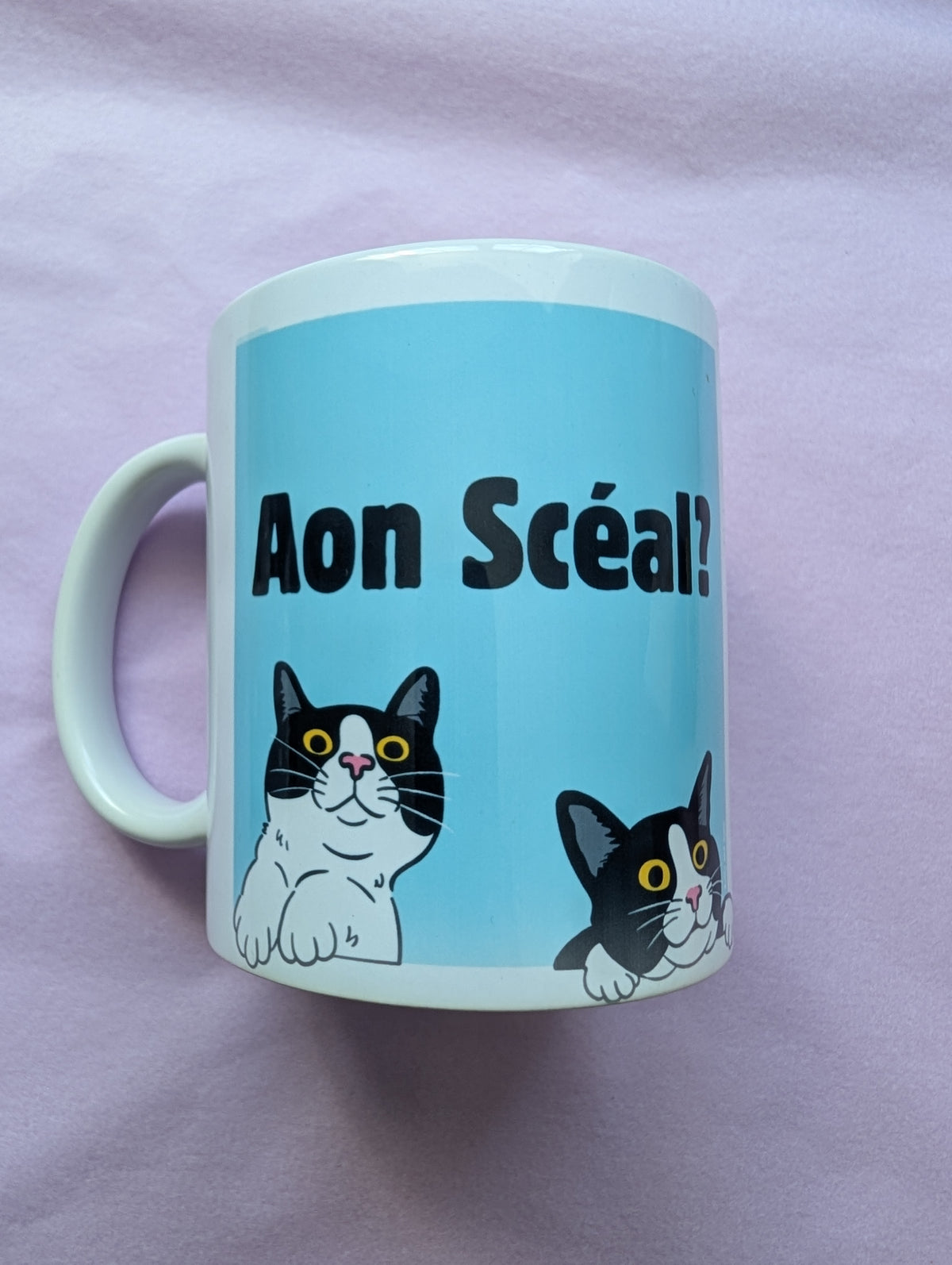 Aon scéal? - Mug