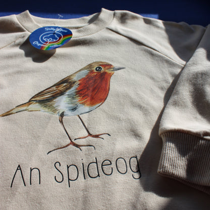 An Spideog