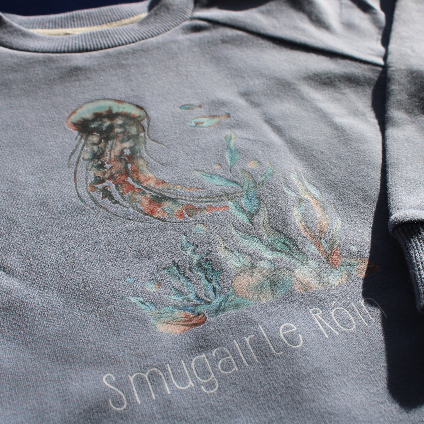 An Smugairle Róin