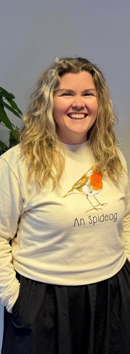 An Spideog sweater (adults)